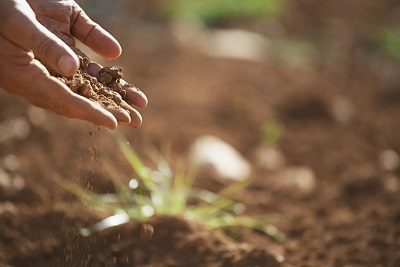 purification-et-rechargement-des-pierres-terre