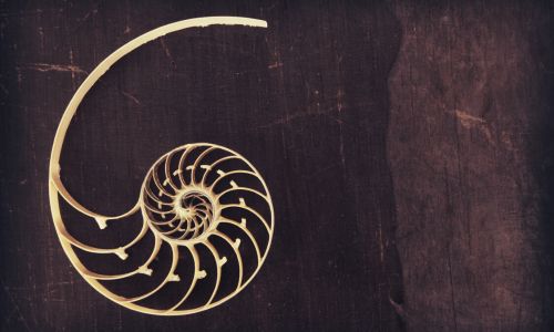 symboles-geometrie-sacree-protection-spirale-doree-fibonacci